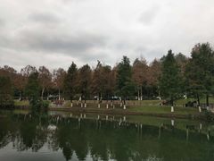-海兰云天度假区温泉