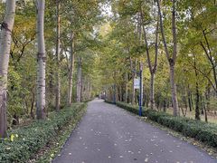 -森林公园(尖草坪区)