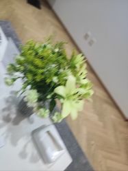 -HEYAN荷妍专业脱毛连锁机构