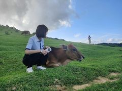 -大姆山草场