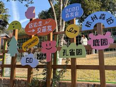 -杭州开元森泊度假乐园