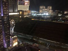 -影汇之星8字形摩天轮