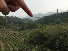 -东部华侨城