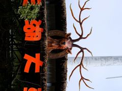 -仰天湖大草原