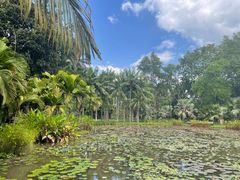 -中国科学院西双版纳热带植物园
