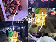 -中环花鸟鱼虫市场