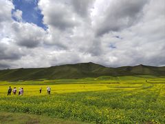 -扁都口生态休闲旅游区