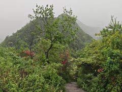 -午潮山国家森林公园