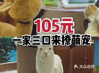 现在只有105元就可以一家三口畅玩的萌宠乐园，你还在等什么呢
