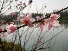 -艾溪湖湿地公园