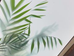 -旧县羊蝎子(旧县店)