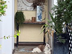 -大塘金香草谷