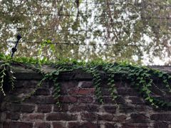 -boundaries籬苑(瑞光创意工厂-贰号院店)