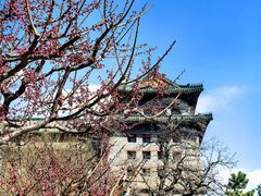 -北京明城墙遗址公园