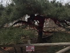 -沂蒙山旅游区云蒙景区(蒙山国家森林公园)