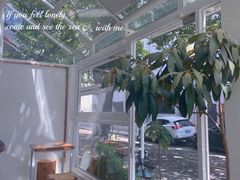 -怪 kafe.