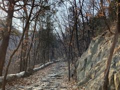 -阳台山自然风景区