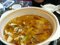 -百岁鱼(望月路店)