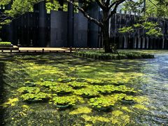 -三亚太阳湾柏悦酒店