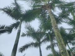 -爱情邮局
