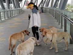 -1013 PET SHOP 宠物商店(近铁城市广场店)