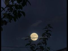 -铜锣湾KTV(木渎店)