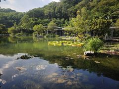 -云溪植物园