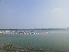 -天津东丽湖风景区