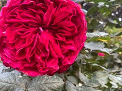 -人民公园(罗湖区)