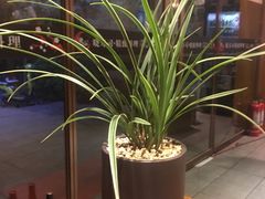 -晓寿司·精致料理(绿地店)