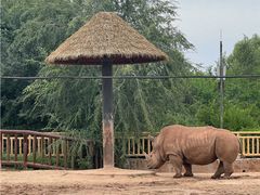 -鄂尔多斯野生动物园