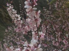 -少华山国家森林公园