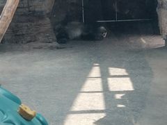 -石家庄市动物园