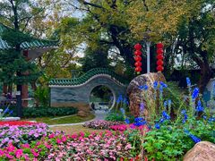 -荔湾湖公园