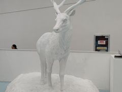 -中国湿地博物馆