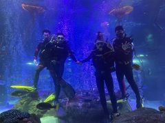 -沈阳海洋探索中心