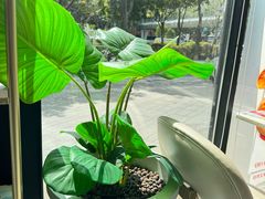 -必胜客(WOW西丽店)