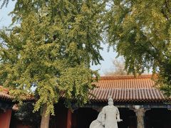 -戏马台景区