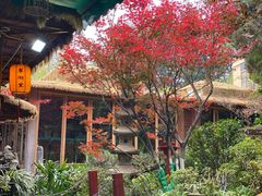 -翠湖里(翠湖南路店)