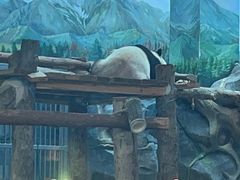 -武汉动物园