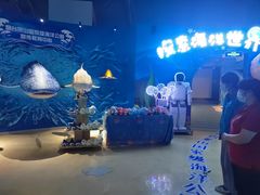 -烟台海昌鲸鲨海洋公园