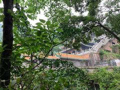 -南海湾森林生态园