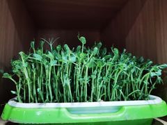 -东椰·海南椰子鸡火锅(朝阳门店)