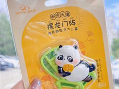 -成都大熊猫繁育研究基地