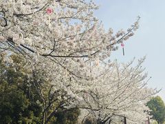 -堤角公园