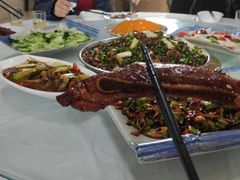 -铁山坪森林公园