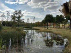 -广富林郊野公园