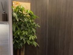 -鹿栖(佛山季华园店)
