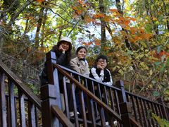 -天女山森林公园