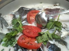 -全乐鱼馆·淳牌有机鱼直营店